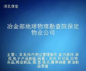 冶金部地球物理勘查院保定物業(yè)公司 日用雜品銷售業(yè)務(wù)概述